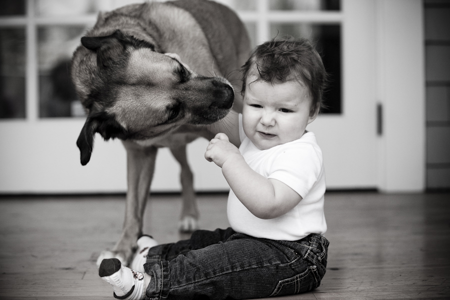 Photo Shoot of Baby and Dog 2